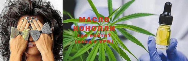 гидра Нея