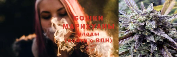PSILOCYBIN Абаза