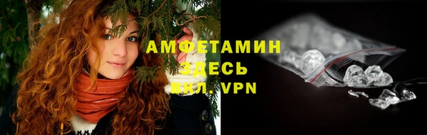 PSILOCYBIN Абаза
