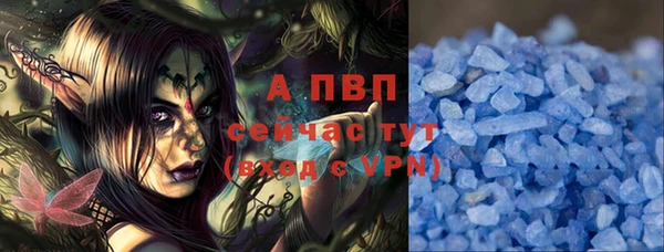 PSILOCYBIN Абаза