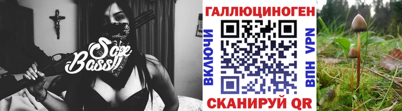 Псилоцибиновые грибы Psilocybine cubensis хочу Осташков