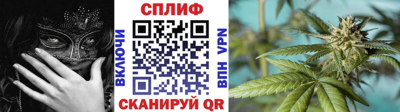 Марихуана сатива  Осташков 